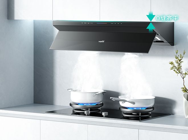 排行榜前十名华帝值得选择电子pg一线厨房电器品牌(图3)